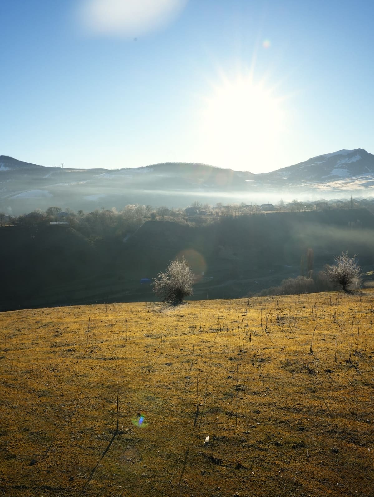 A frosty morning: the sun above the mountains, mist in the valley and frost-covered trees